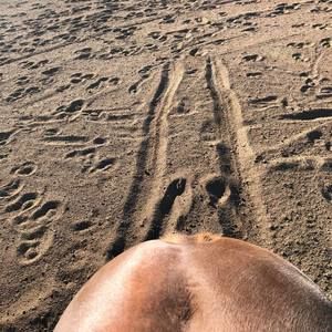 Meet your Posher, Sally